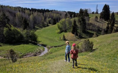 Yhteistyössä kohti kestävää koulua