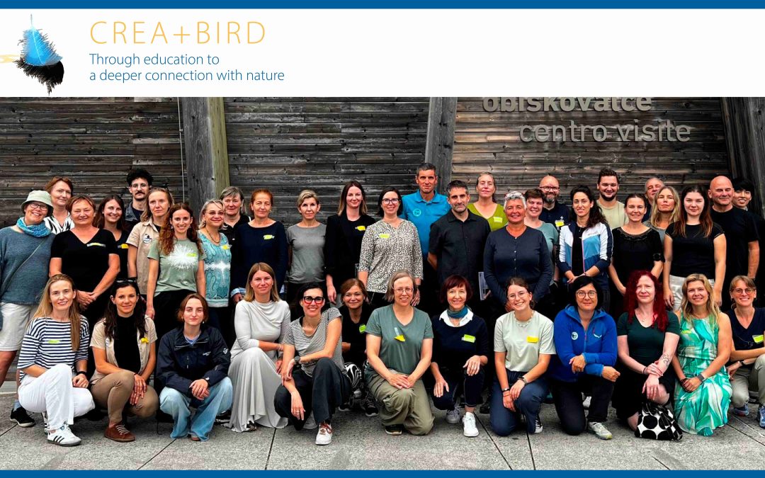 CREA+BIRD -hankkeen kuulumisia