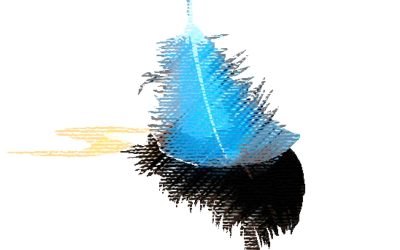 CREA+BIRD -hankkeen kuulumisia