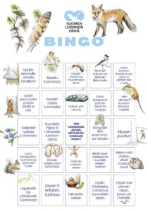SLP bingo kuva
